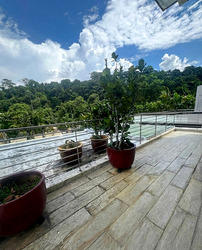 Toh Estate (D17), Detached #571787121